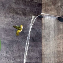 Douche tropicale murale