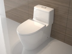 Monobloc WC