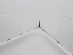 Comment enlever la moisissure du mastic de ma salle de bains ?